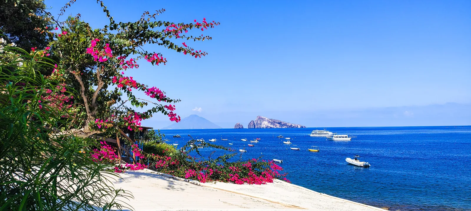 Bougainvillea above the sea on Panarea