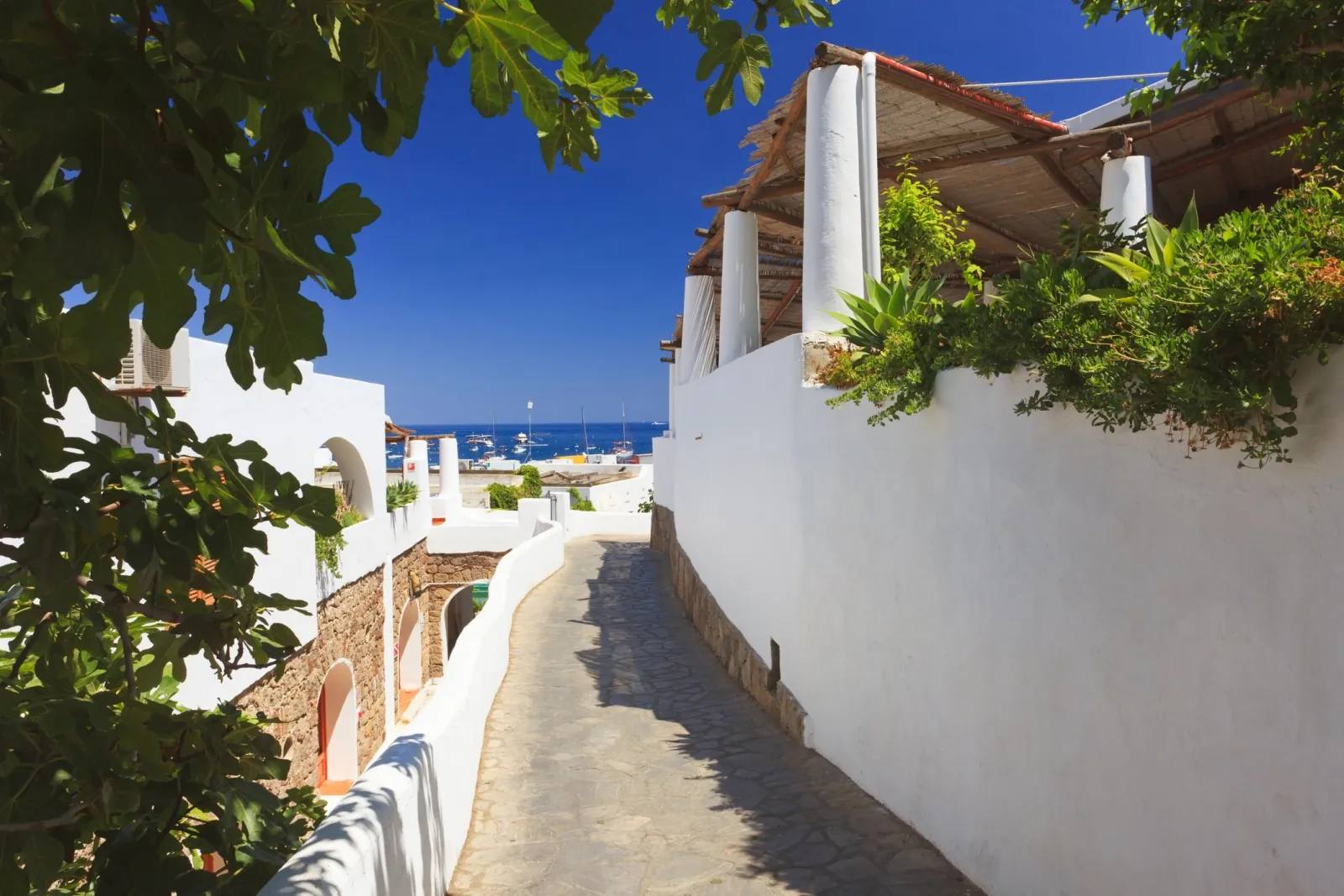 Whitewashed lane with bougainvillea on Panarea