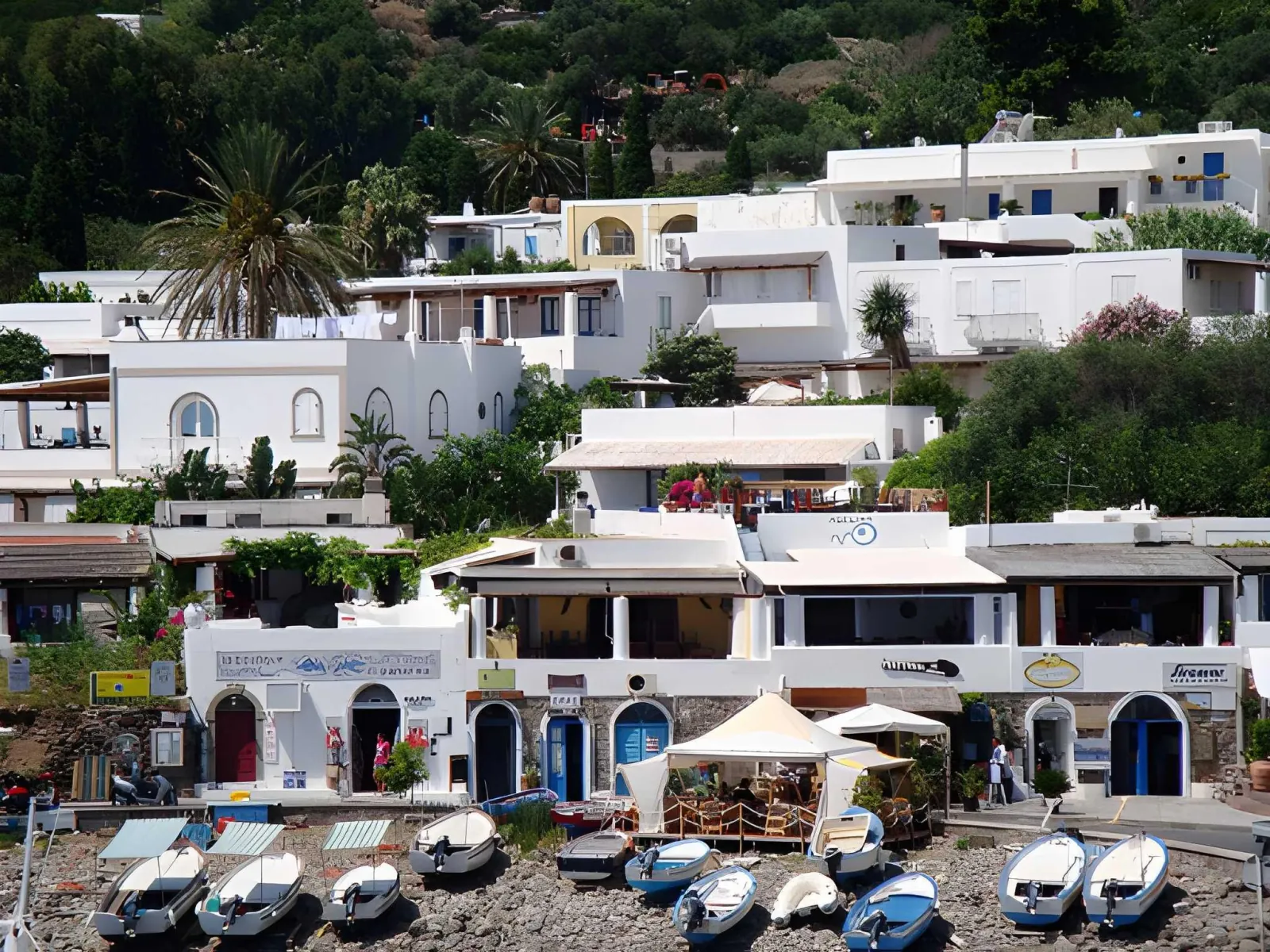 White island houses and gardens above the harbour