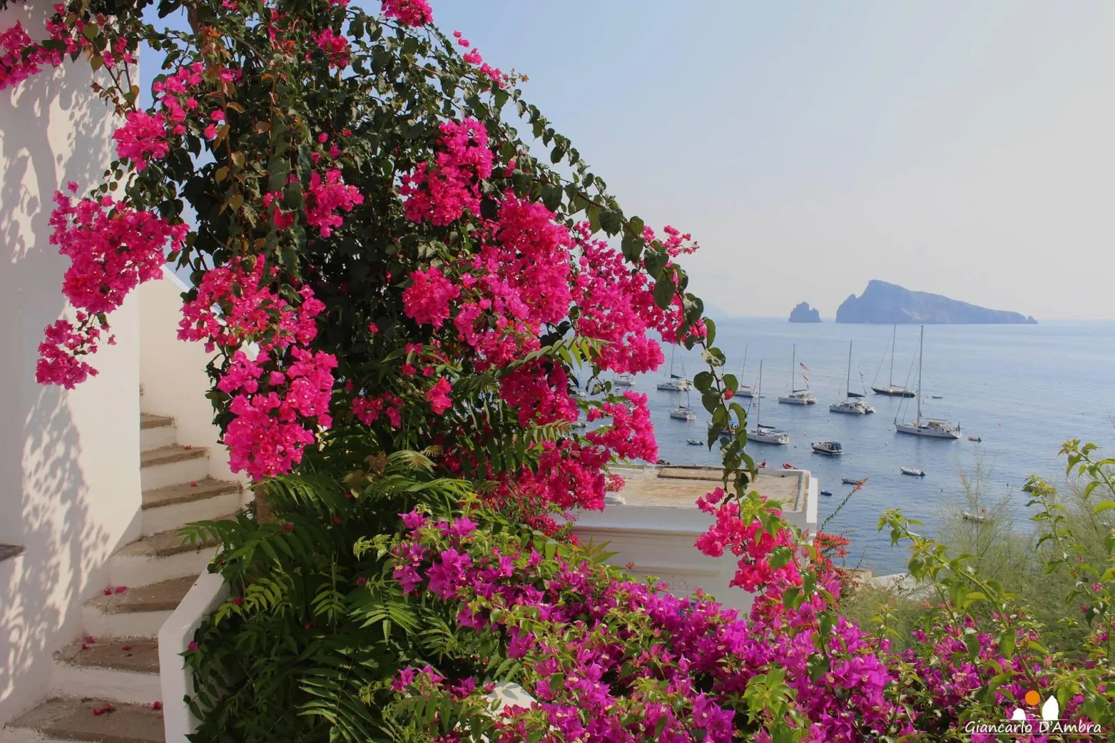 Bougainvillea over white steps above the sea on Panarea