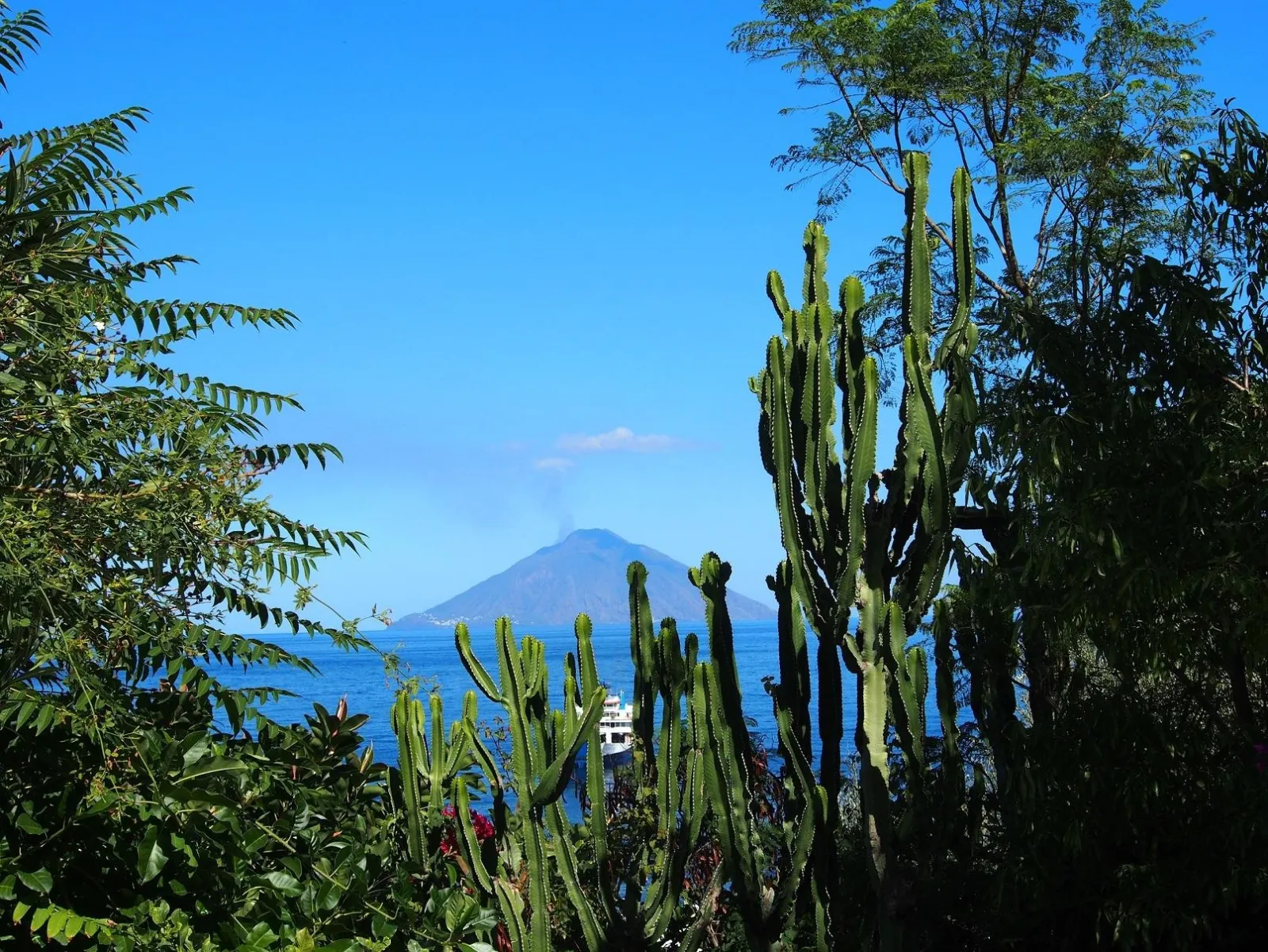 Stromboli seen through cacti and trees on Panarea